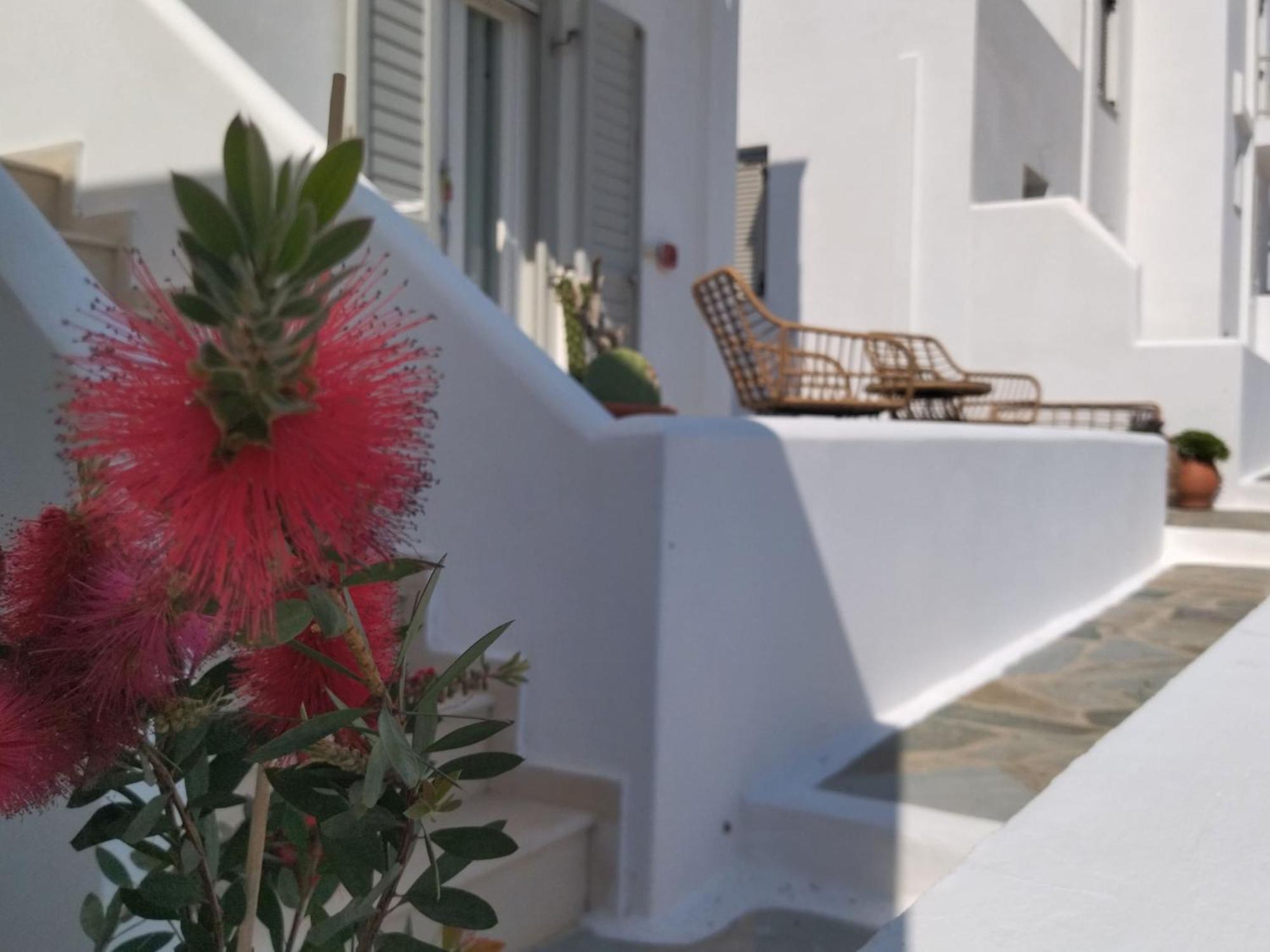 Gaia Serifos Apartments Ramos Room photo